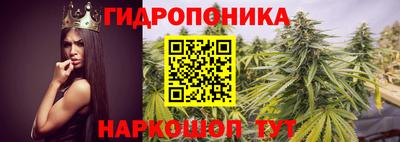 амф Гусь-Хрустальный