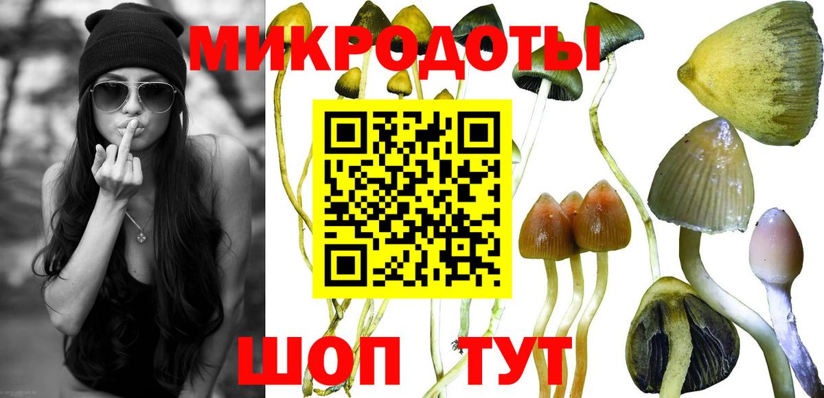 Галлюциногенные грибы Psilocybine cubensis Миллерово