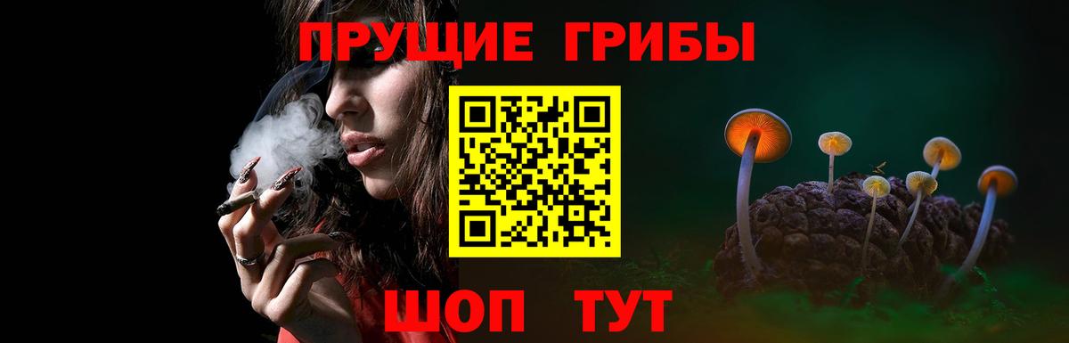 Галлюциногенные грибы Psilocybine cubensis  Вход с VPN  Миллерово 